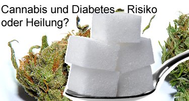 Cannabis und Diabetes