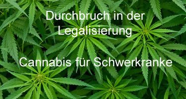 Durchbruch in der Legalisierung von Cannabis