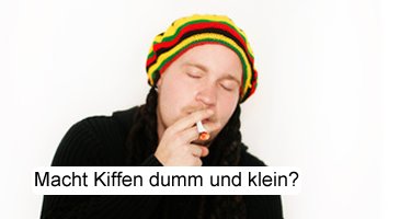 macht Grass dumm