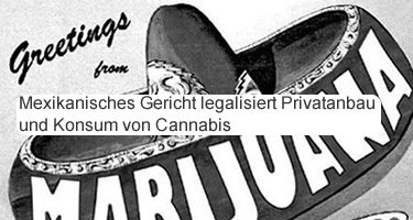Mexiko legalisiert Cannabis
