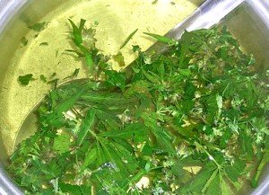 Cannabis-Wasser