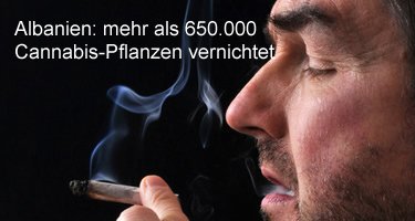 Cannabis in Albanien