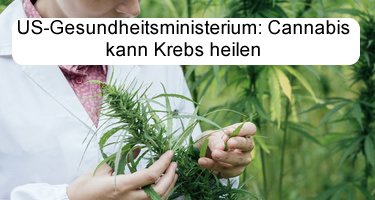 Gesundheitsministerium: Cannabis heilt Krebs