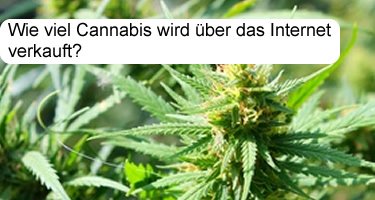 Cannabis über das Internet kaufen