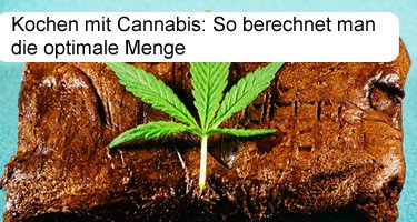 Kochen mit Cannabis