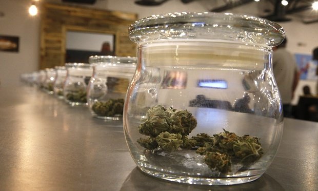 Legalisierung von Cannabis : Der verpasste Milliarden-Cash-Flow