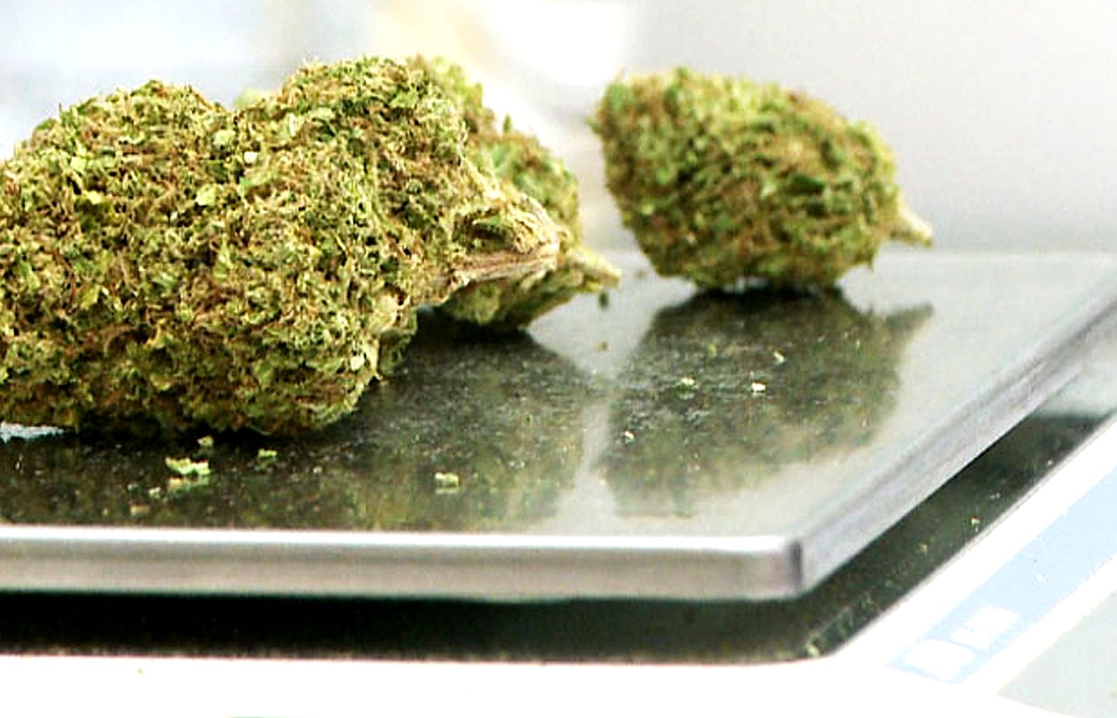 Küchen- oder Feinwaage für Cannabis