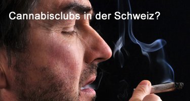 Cannabisclubs in der Schweiz