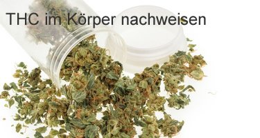 thc im körper nachweisen
