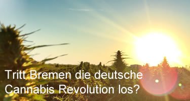 Cannabis Legalisierung in Bremen