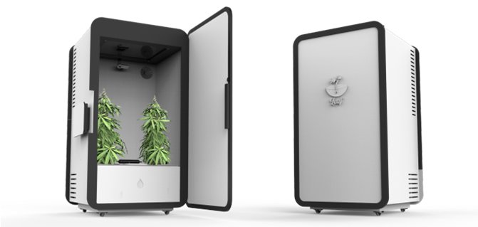 Cannabis Anbau voll automatisiert und app gesteuert: