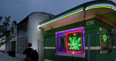 Cannabis Legalisierung 2017?
