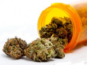 Die neue Rolle der Ärzte bei der Cannabis Legalisierung