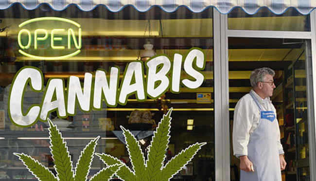 Cannabis Legalisierung in 2016?