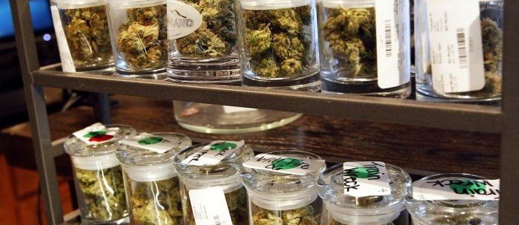 Cannabis Legalisierung würde dem Schwarzmarkt die Basis nehmen