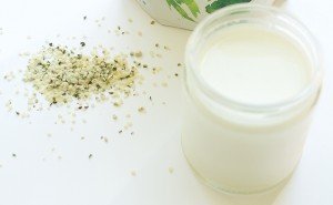 Hanf-Milch