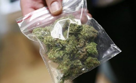 Wird der Besitz von 30 Gramm Cannabis in Bremen künftig straffrei 