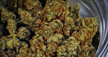 Verkauf von Cannabis auf Erfolgskurs