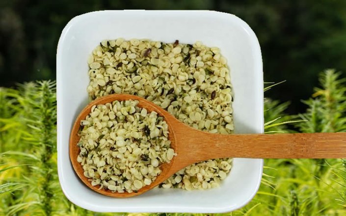 Kochen mit Hanf - leckere und gesunde Hanf Rezepte ohne Rausch