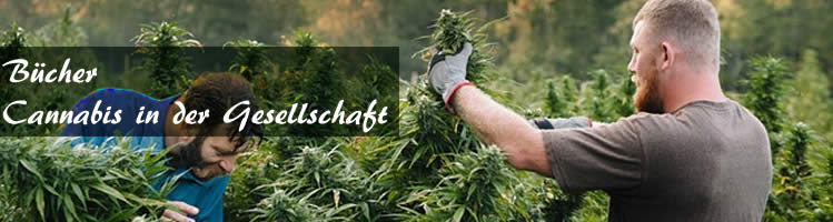 Cannabis Soziales Gesellschaft