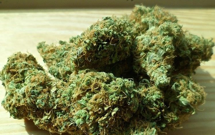 Essen, Rauchen, Dampfen die beste Art Cannabis zu konsumieren