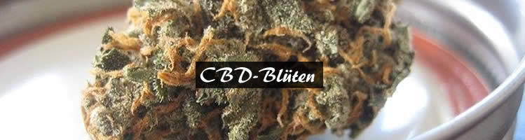 CBD-Blüten