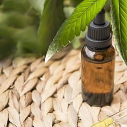 Cannabis Tinktur aus pflanzlichem Glycerin