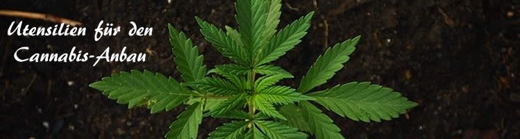Ausrüstung Cannabis anbauen