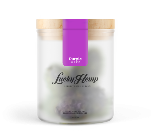 Purple Haze CBD-Blüten – Lucky Hemp