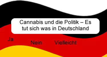 Cannabis und die Politik Es tut sich was in Deutschland
