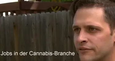 Cannabis-Branche