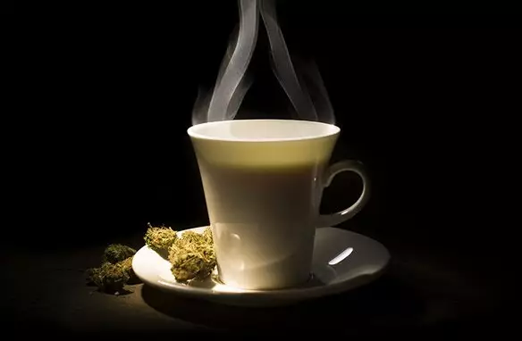 Gut verträglich und energetisierend: Cold Brew & Bulletproof Coffee mit Cannabis Kick