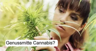 Ist Cannabis ein Genuss?