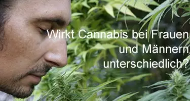 Wie wirkt Cannabis
